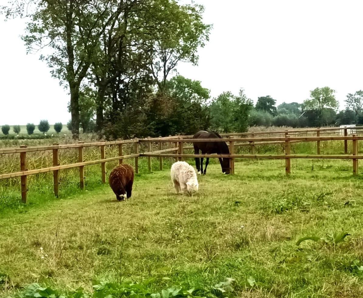 B&B Oldenbosch Holwierde エクステリア 写真